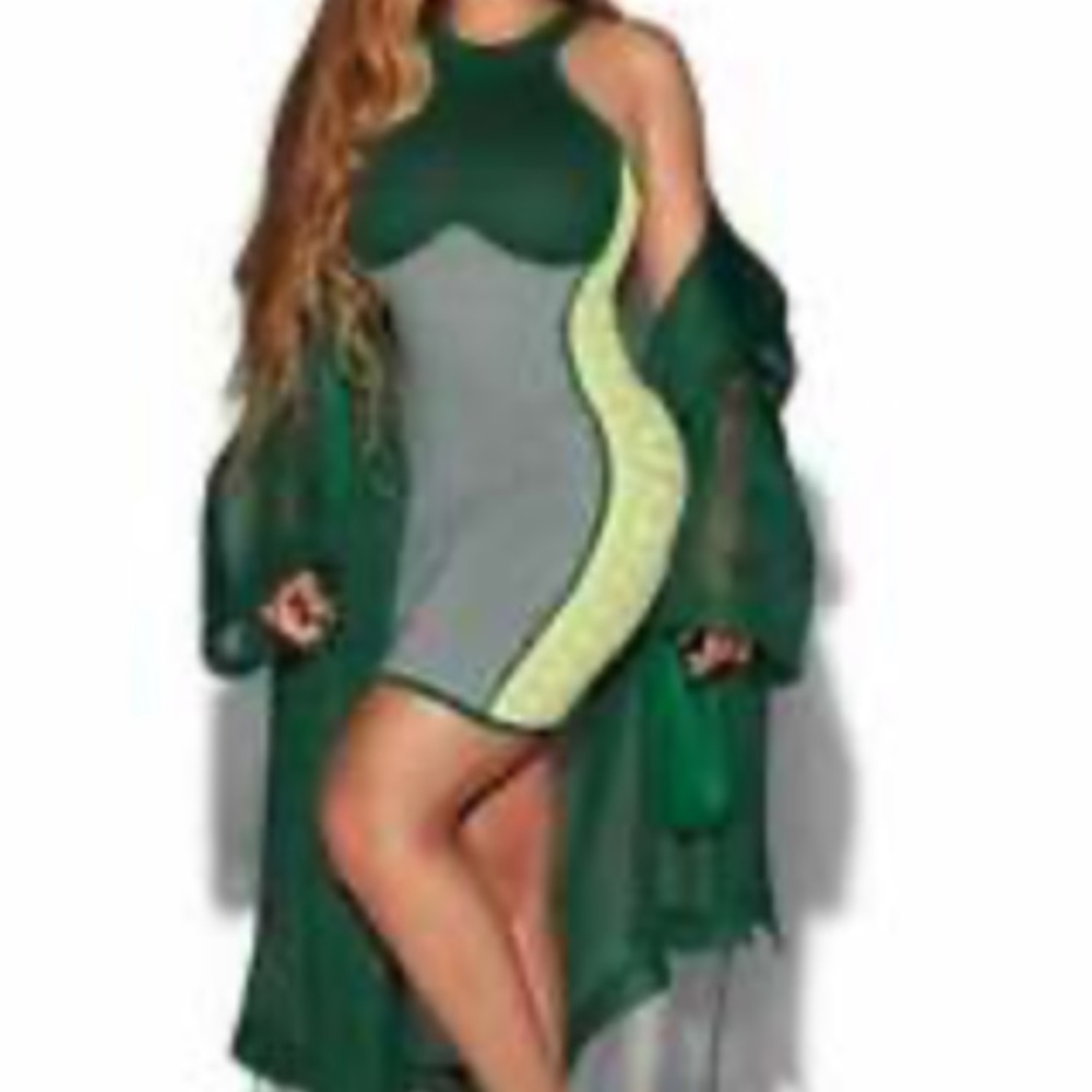 Ivy park and adidas logo dress